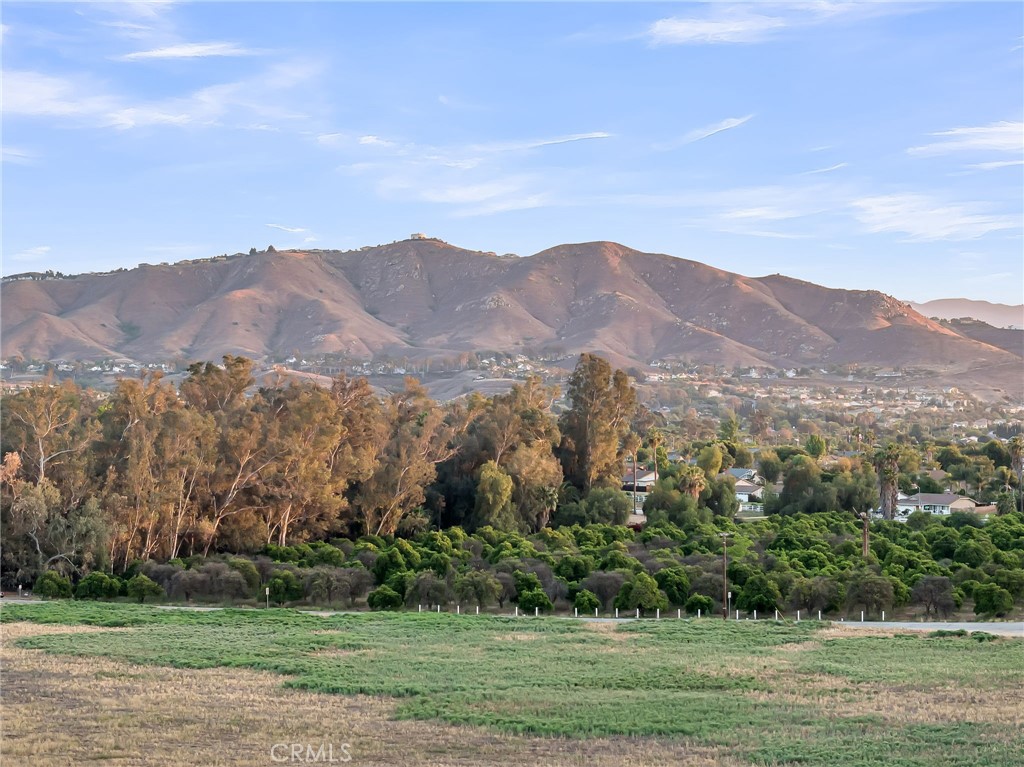 2886 Mcallister Street