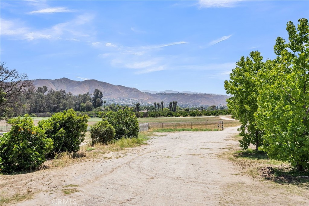 2886 Mcallister Street