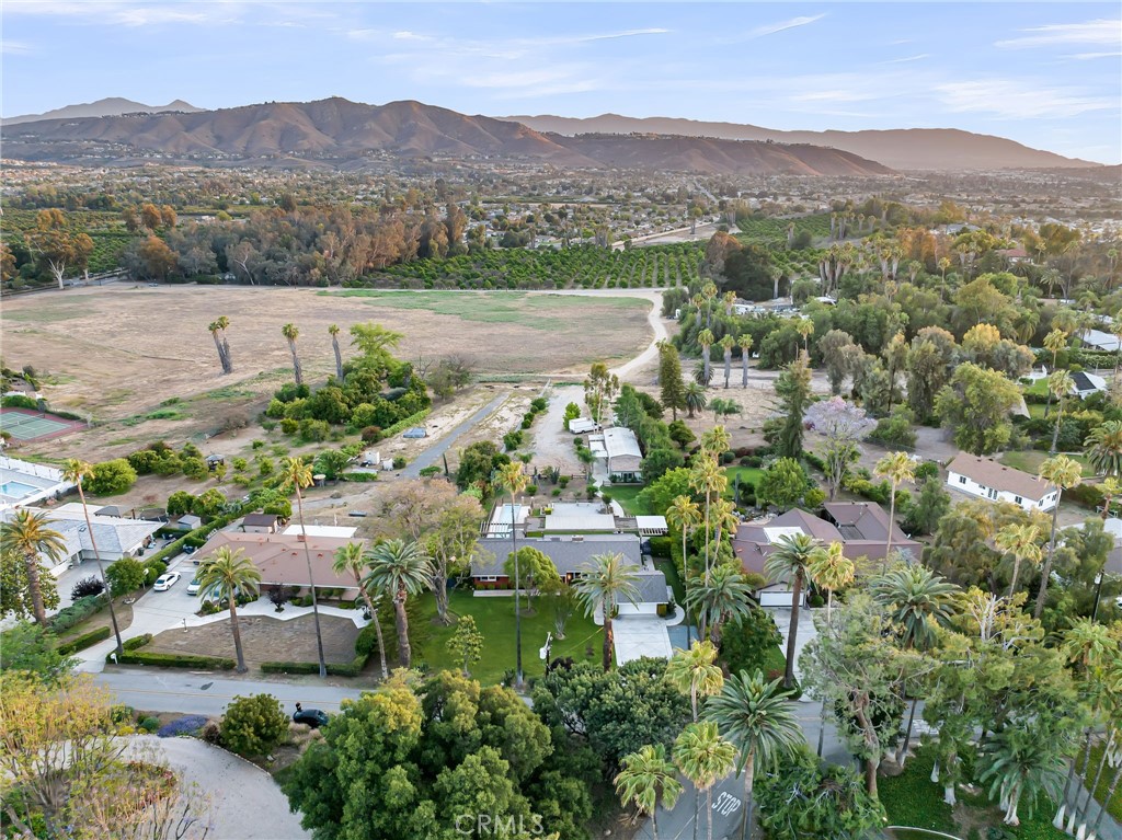 2886 Mcallister Street