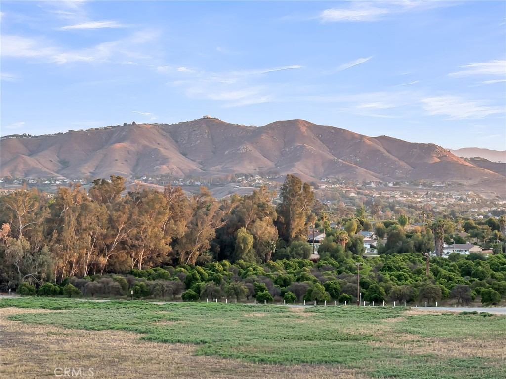 2886 Mcallister Street