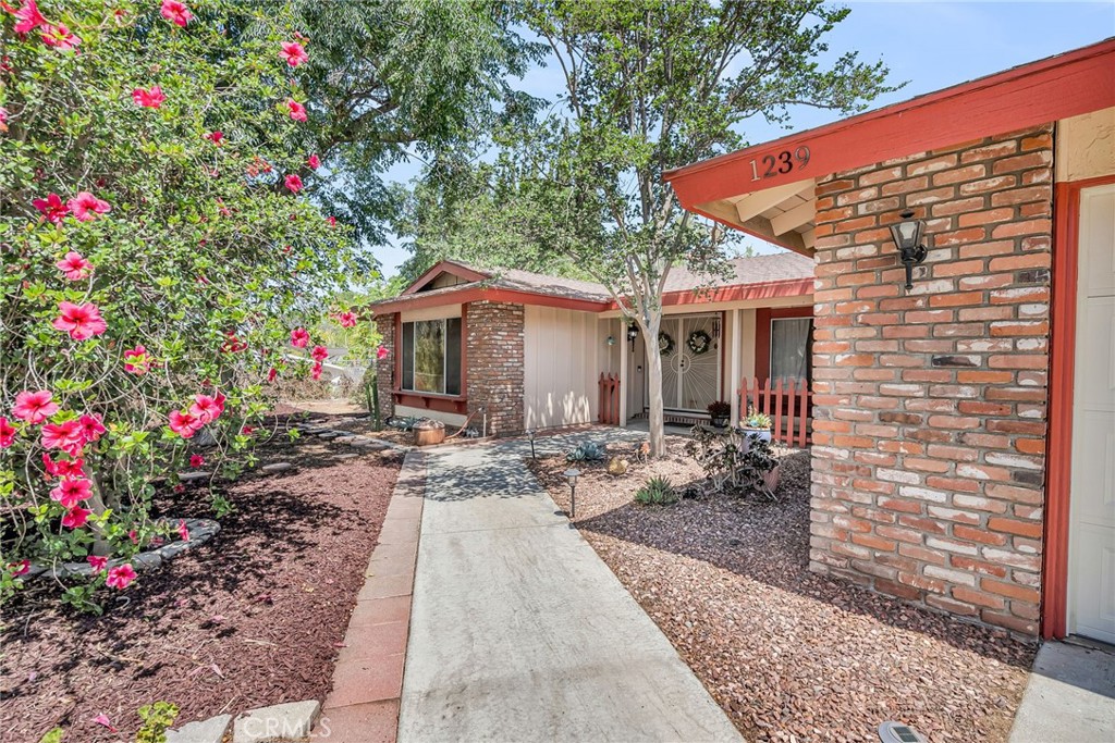 1239 Highridge Street