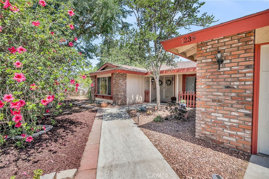 1239 Highridge Street