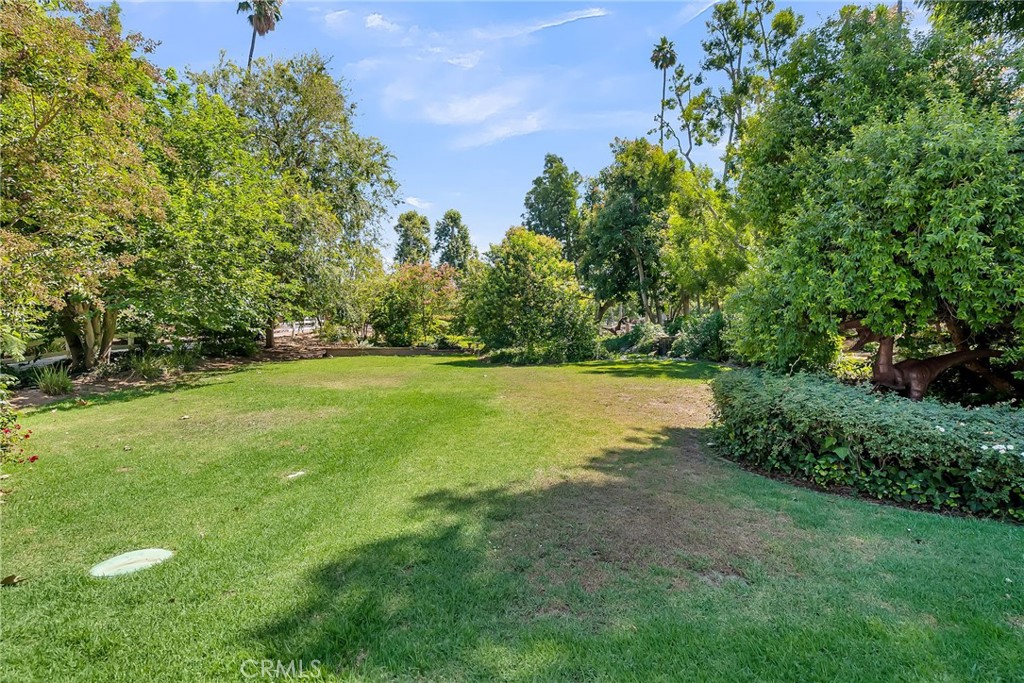 2838 Rumsey Drive