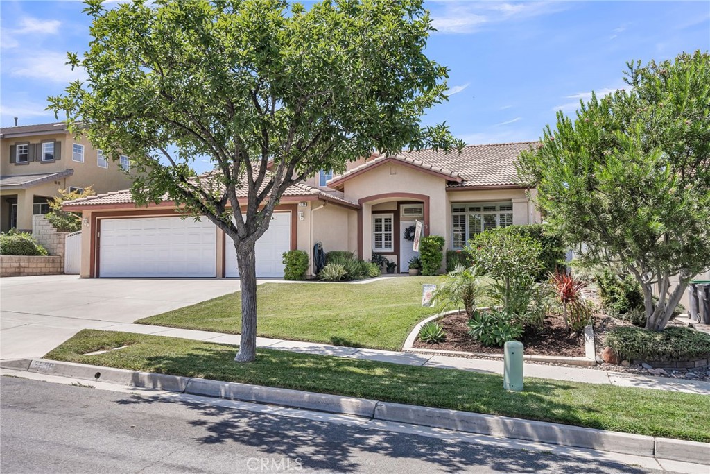 3338 Camden Lane