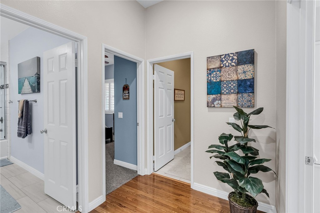 3338 Camden Lane