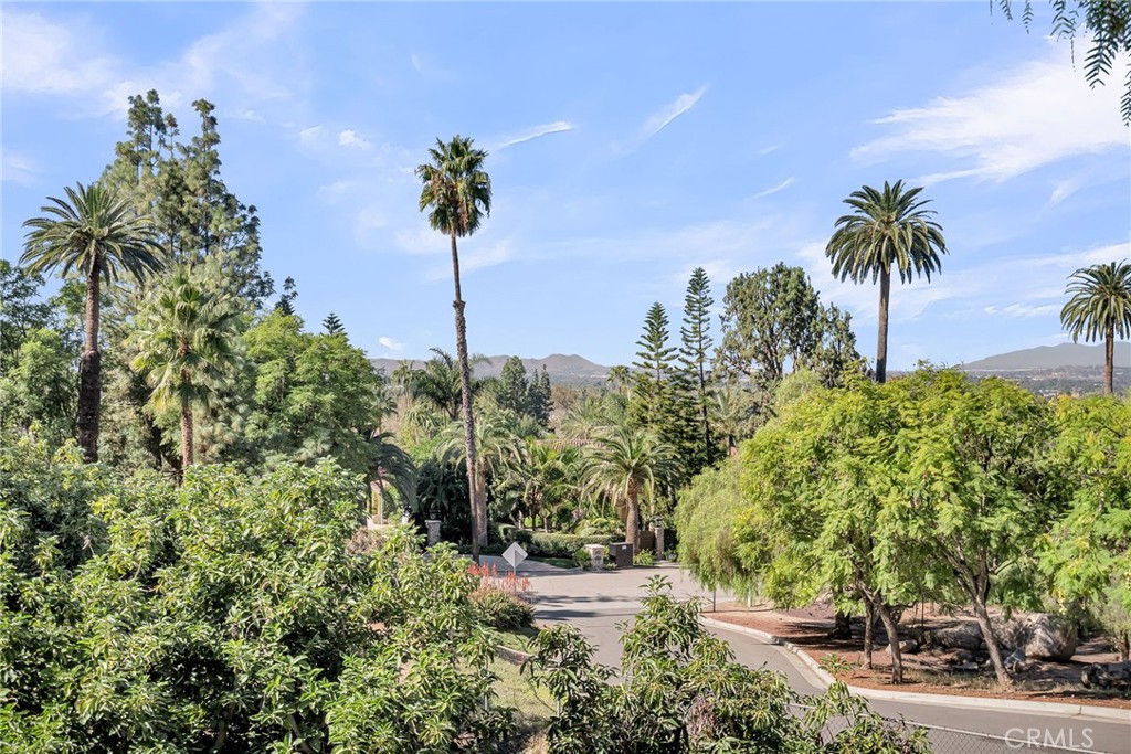 6146 Hawarden Drive