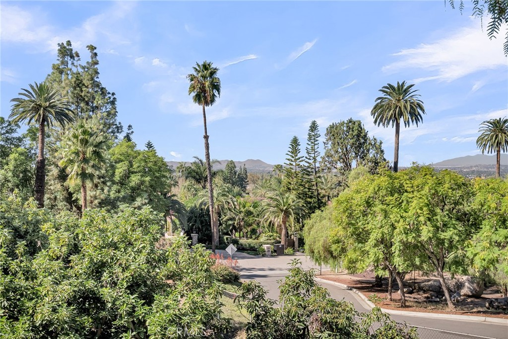 6146 Hawarden Drive