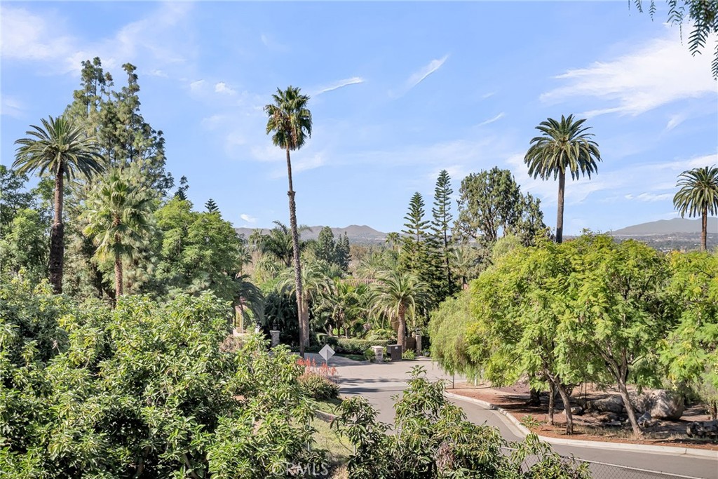 6146 Hawarden Drive