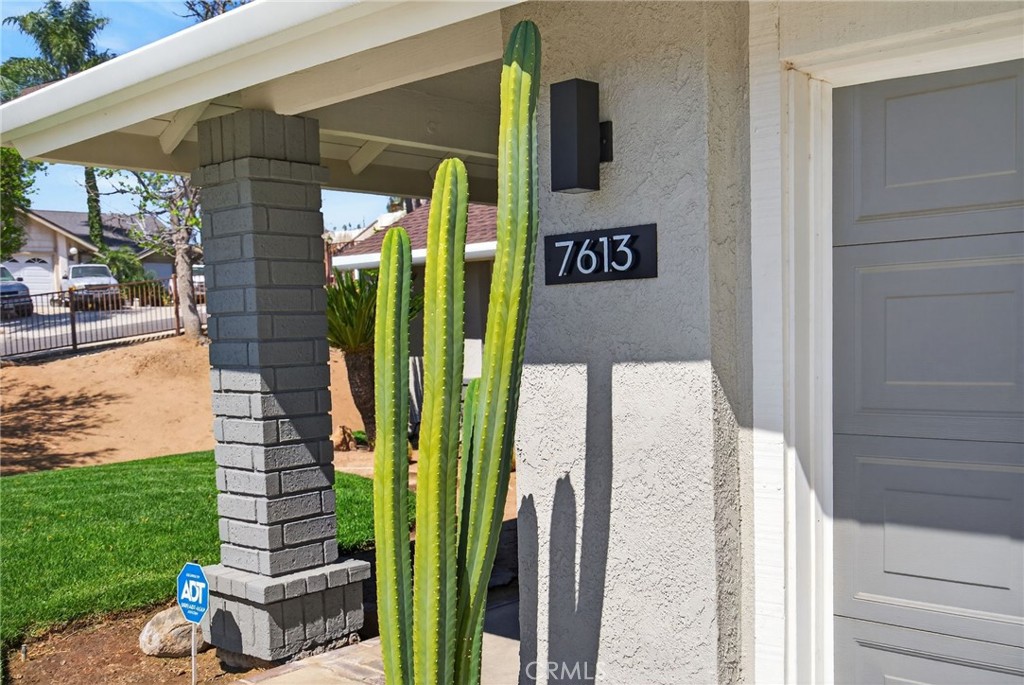 7613 Mountain Shadow