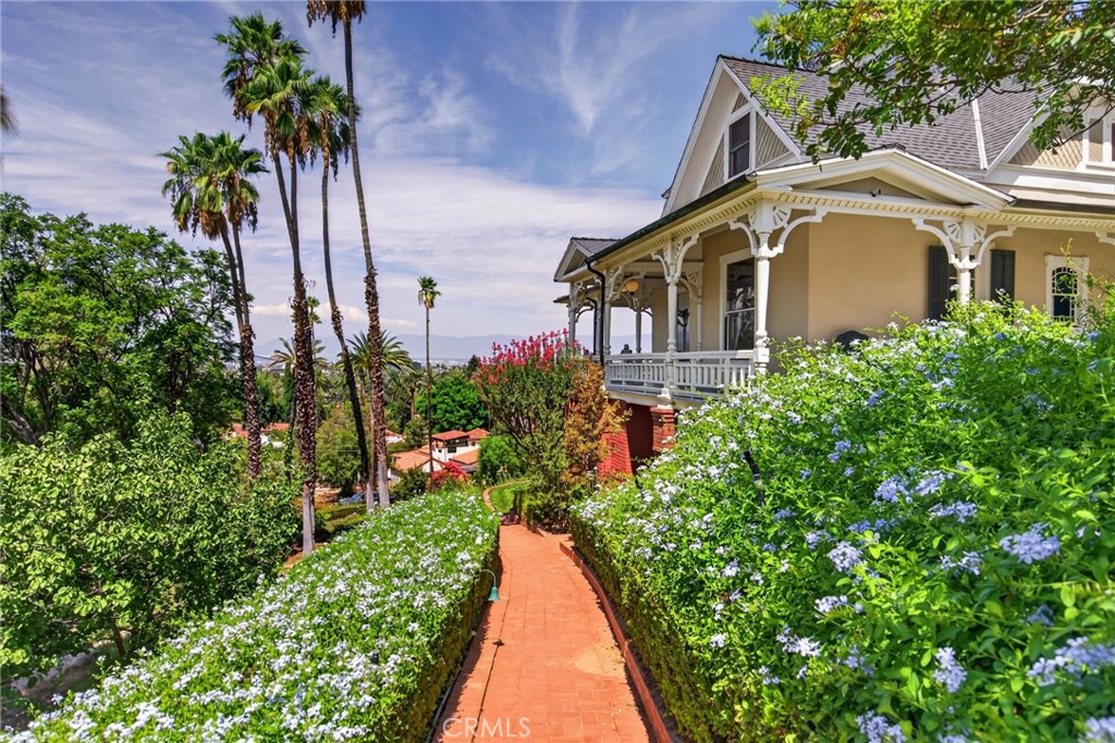 2812 Ivy
