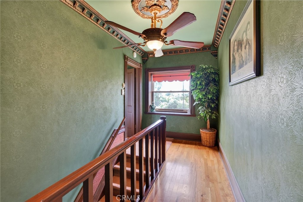 2812 Ivy