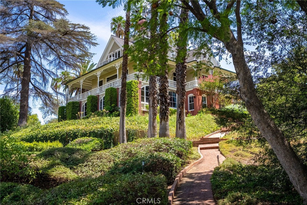 2812 Ivy