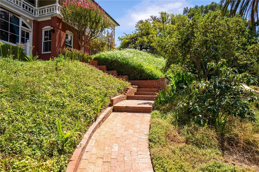 2812 Ivy
