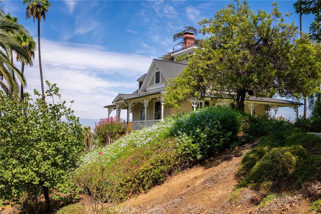 2812 Ivy