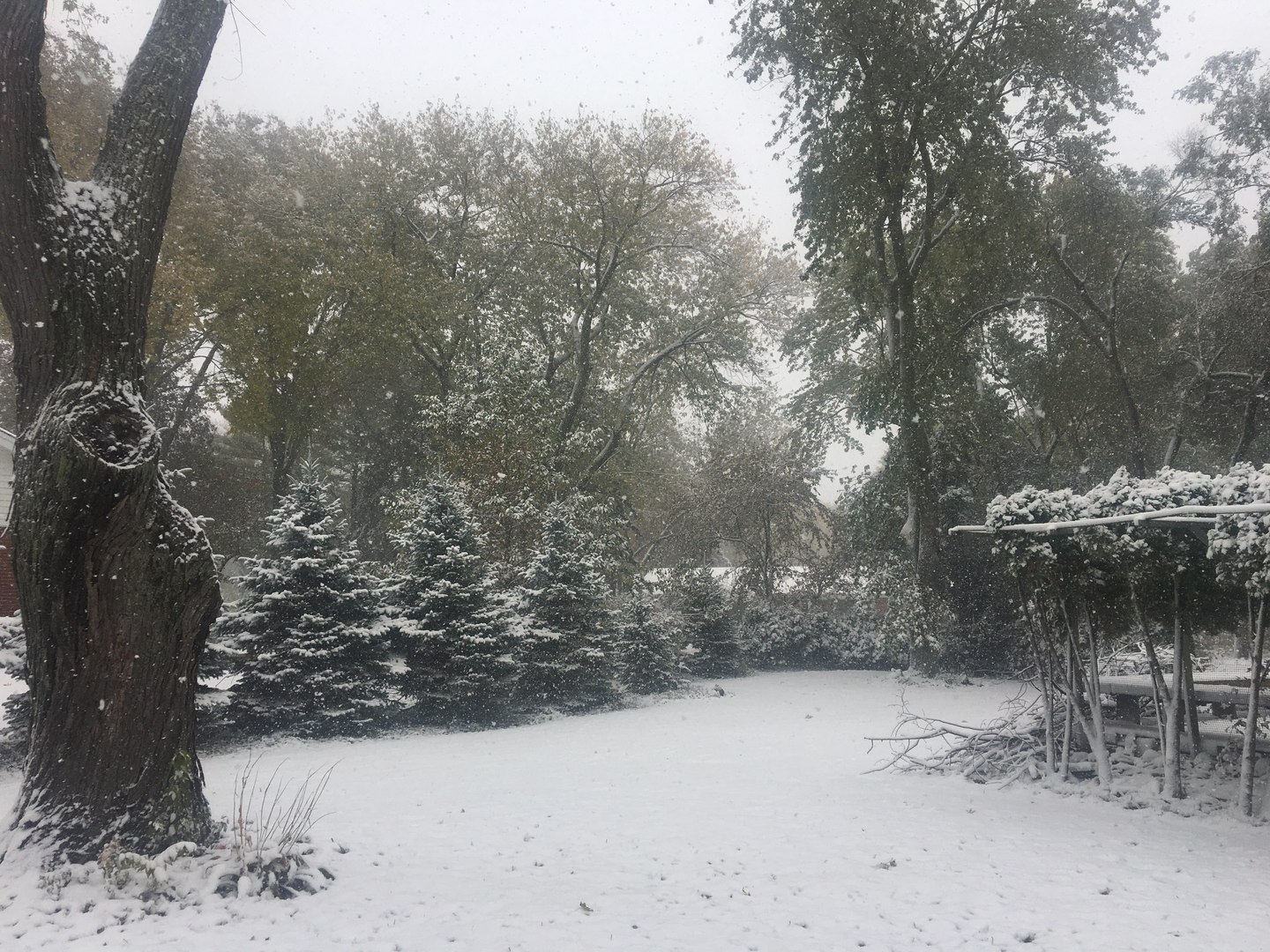 2301 S Westwood Lane