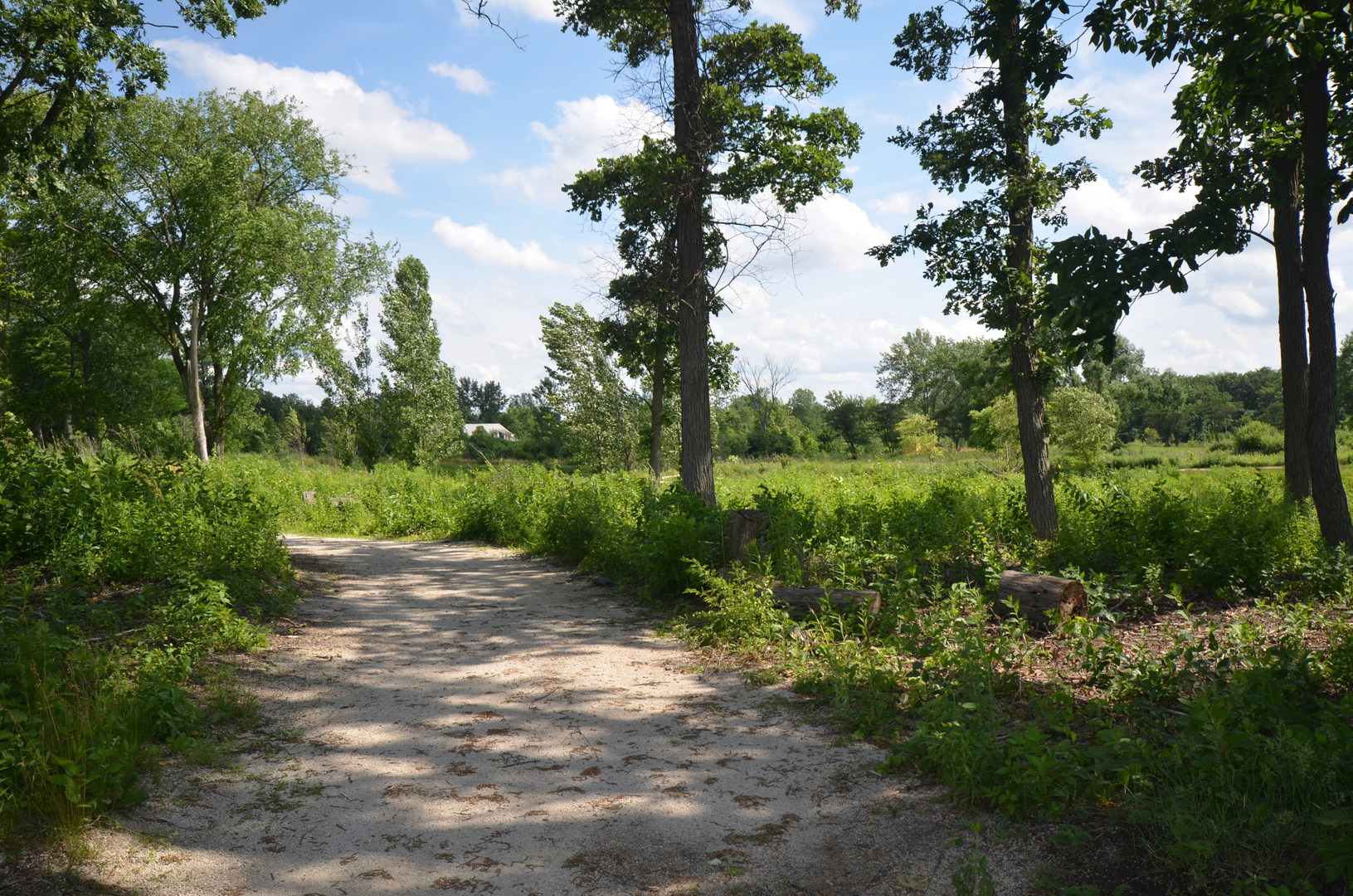 230 Majestic Oak Court