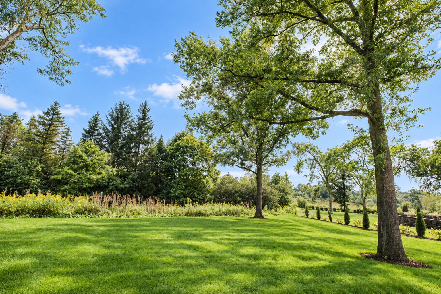 270 Majestic Oak Court