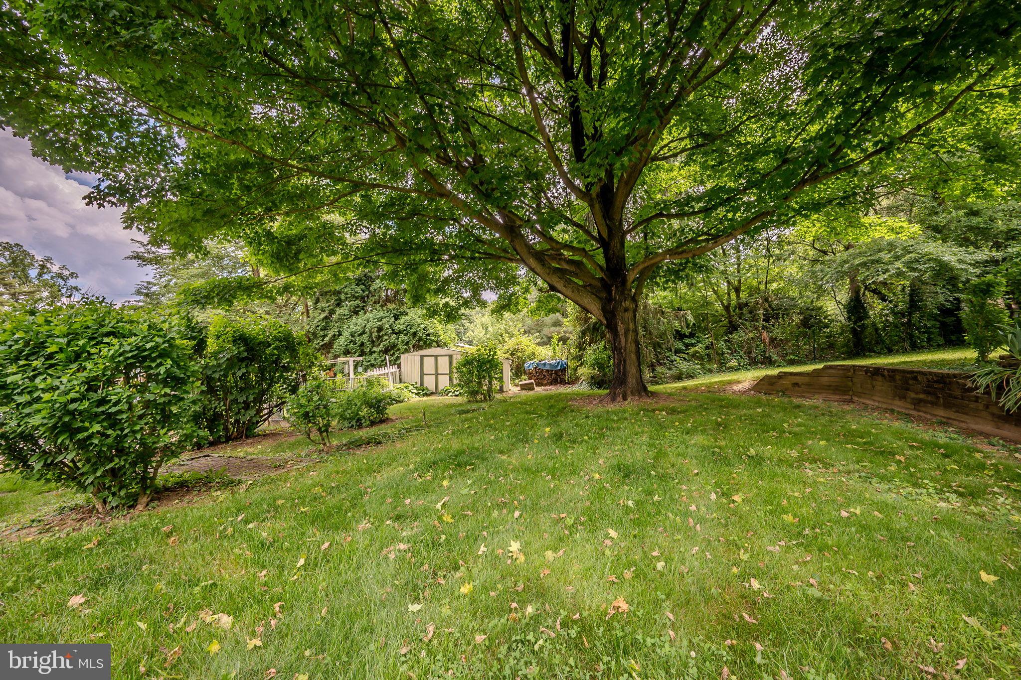 1302 Greentree Ln