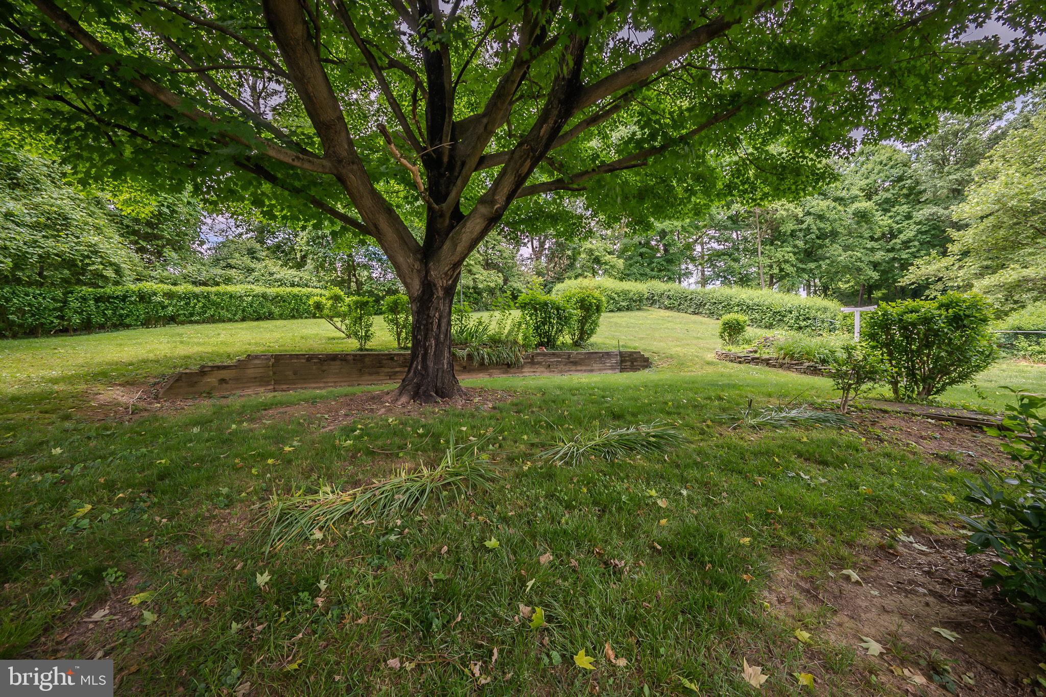 1302 Greentree Ln