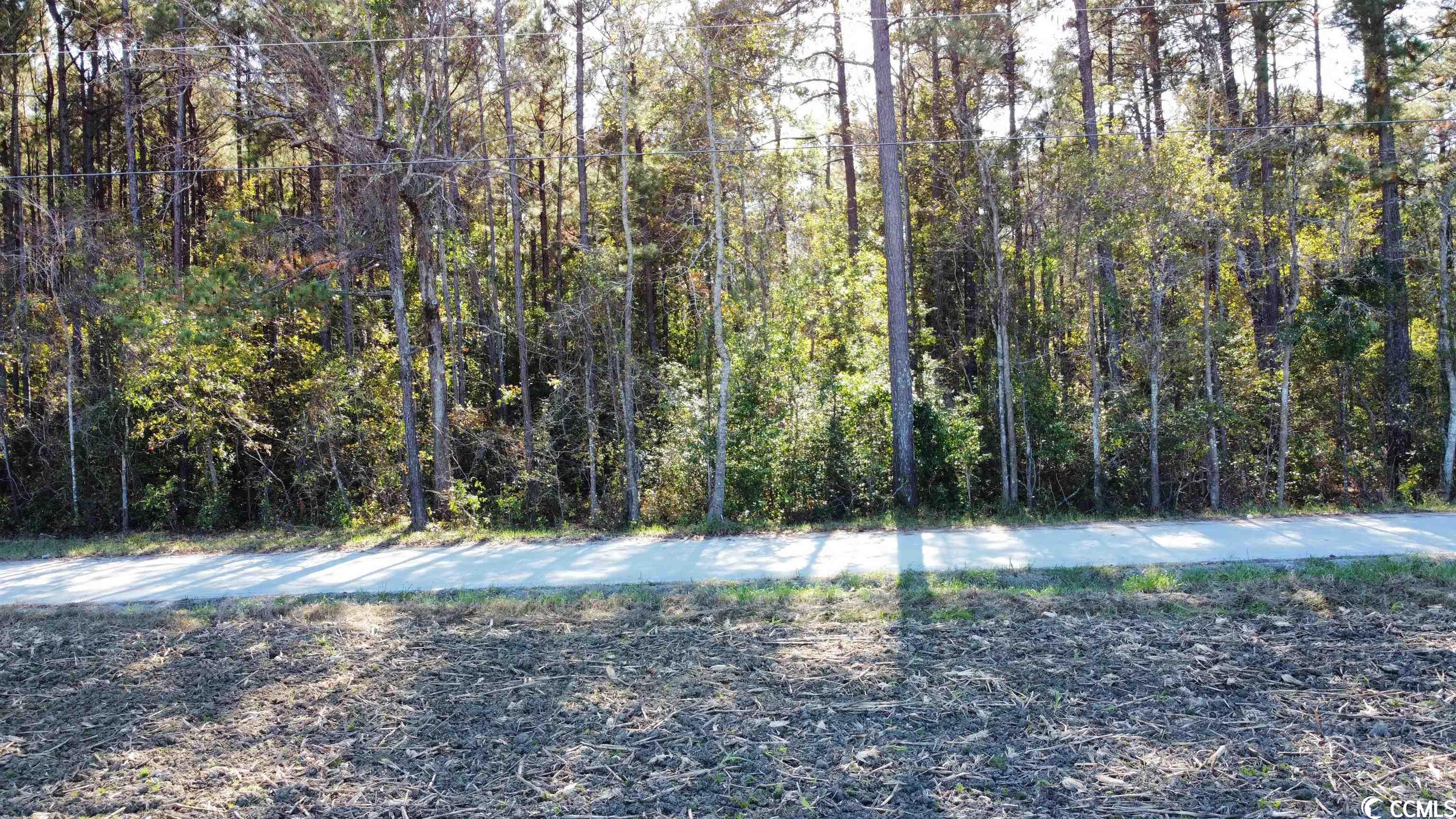 TBD Long Horne Ranch Dr.