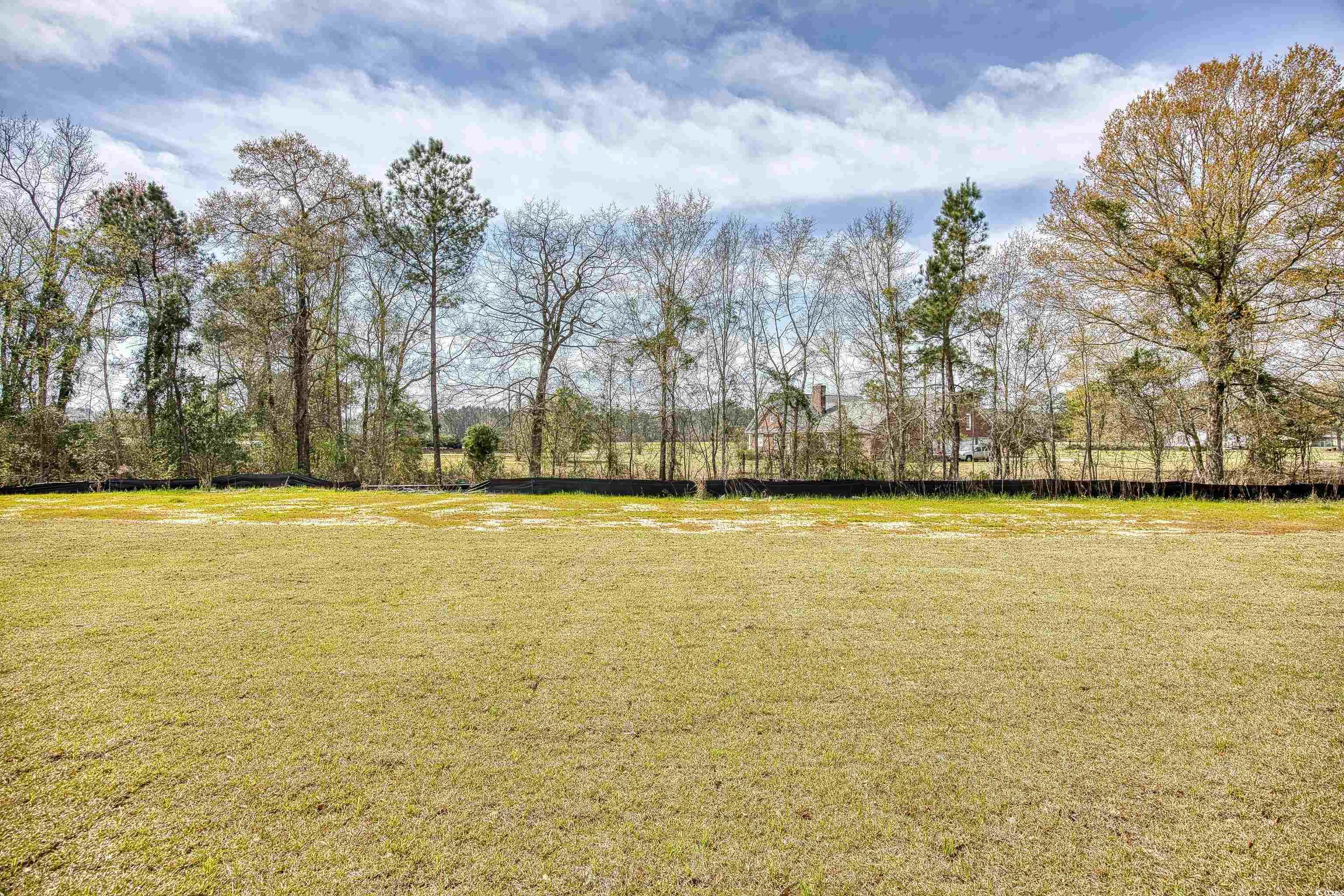 348 Palmetto Sand Loop