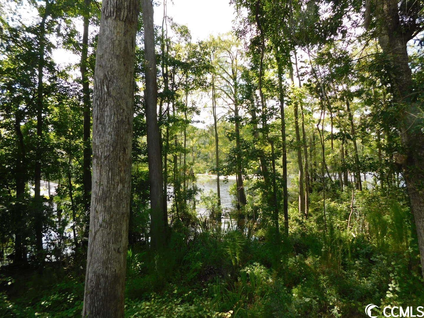 156 Rosewater Loop