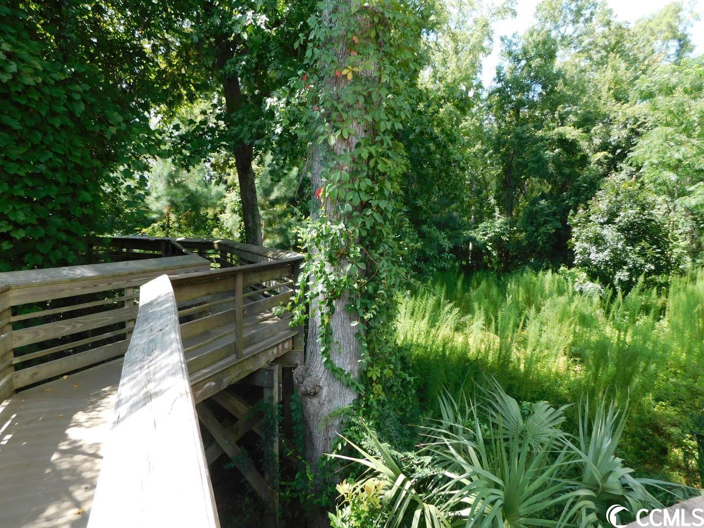 156 Rosewater Loop