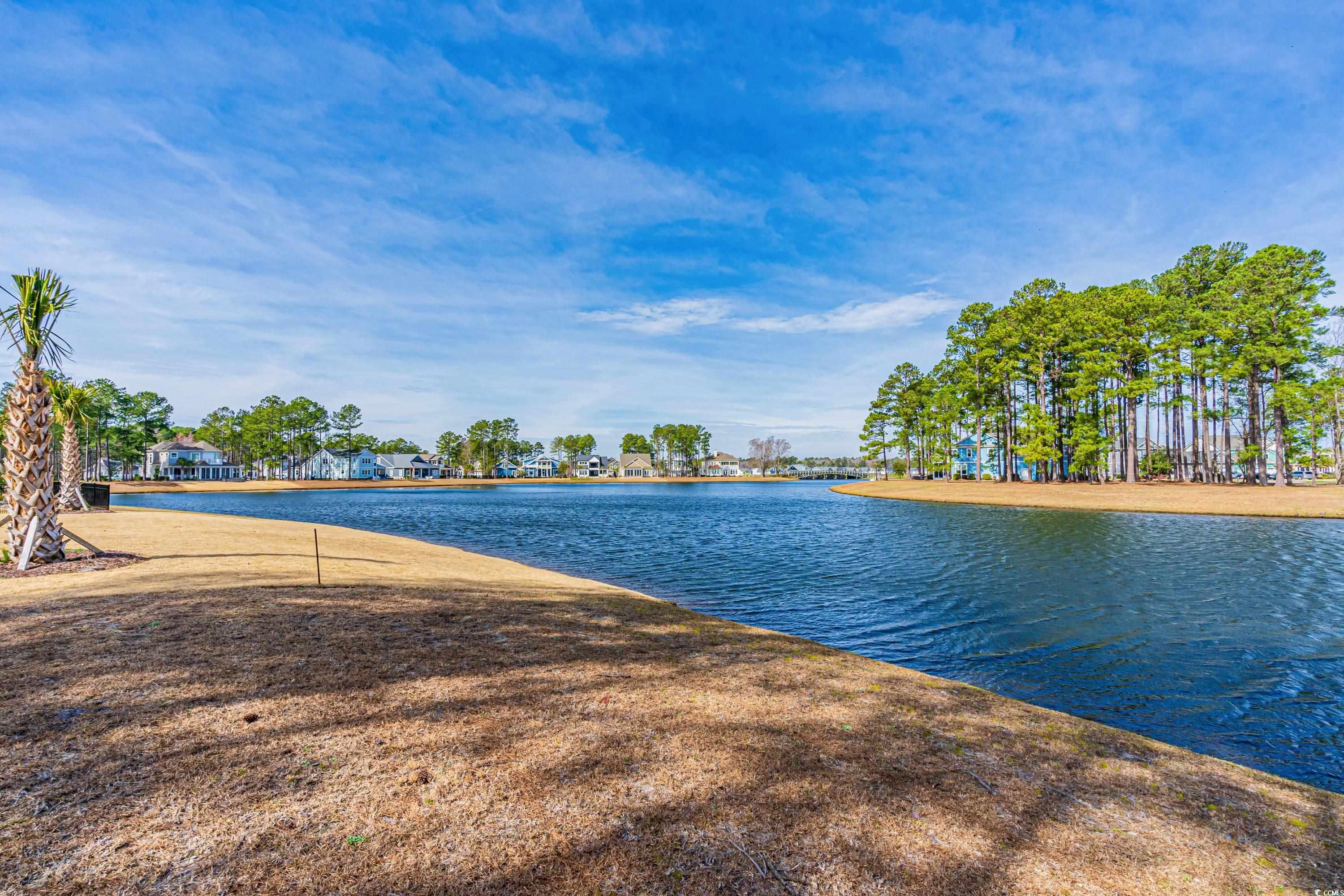 931 Fiddlehead Way