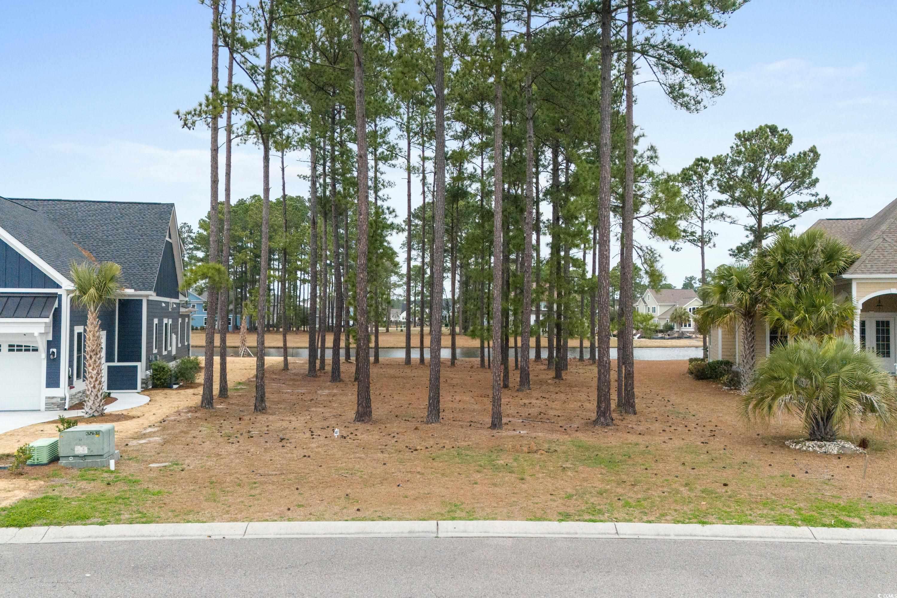 931 Fiddlehead Way