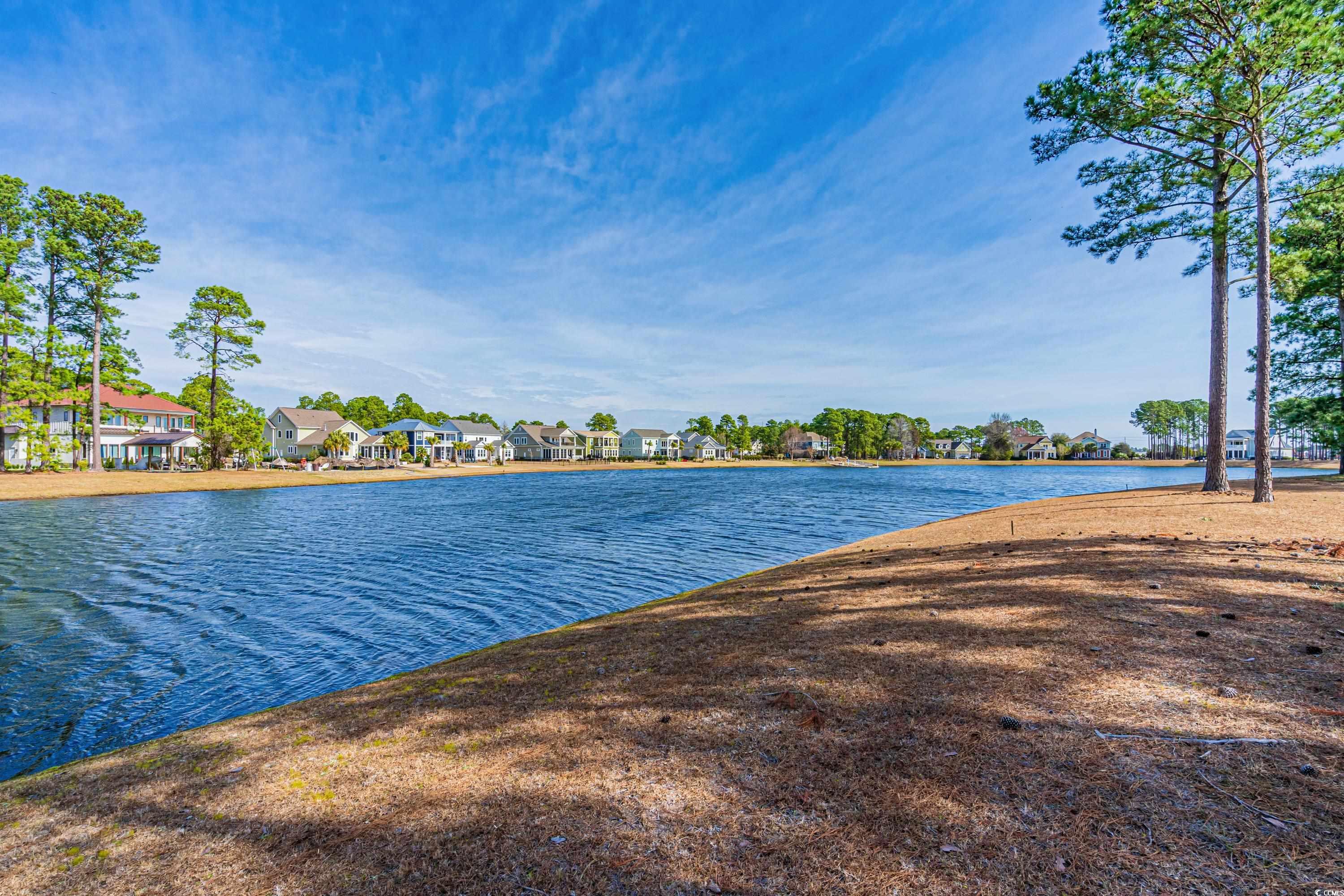 931 Fiddlehead Way