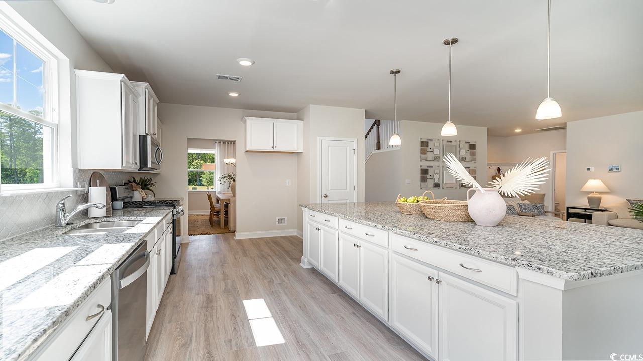 224 Goose Pond Dr.