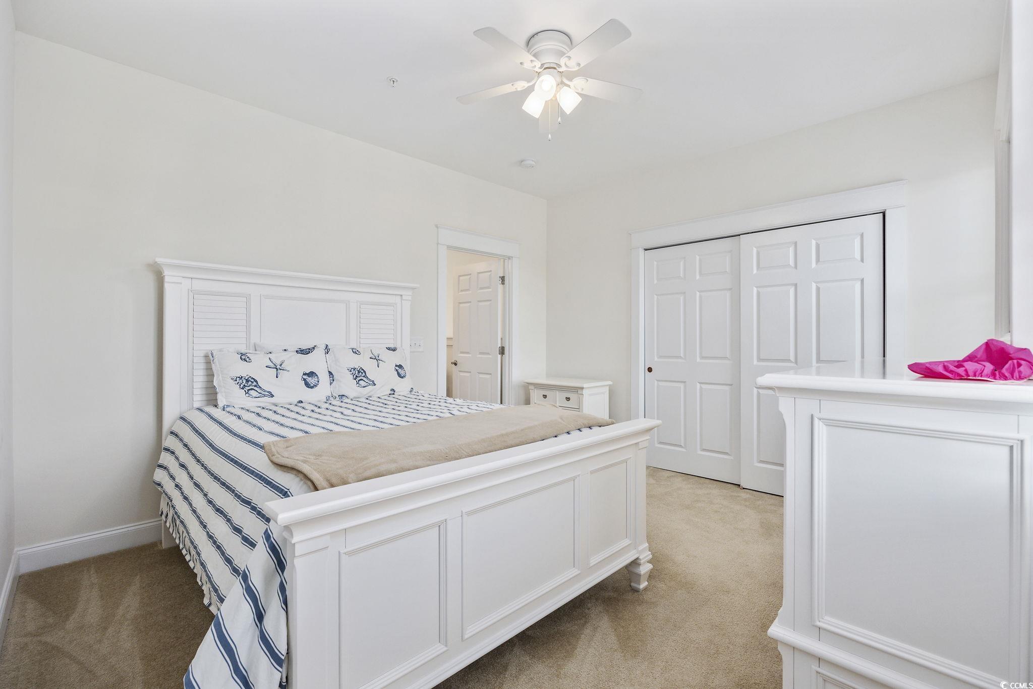 3419 Pampas Dr.