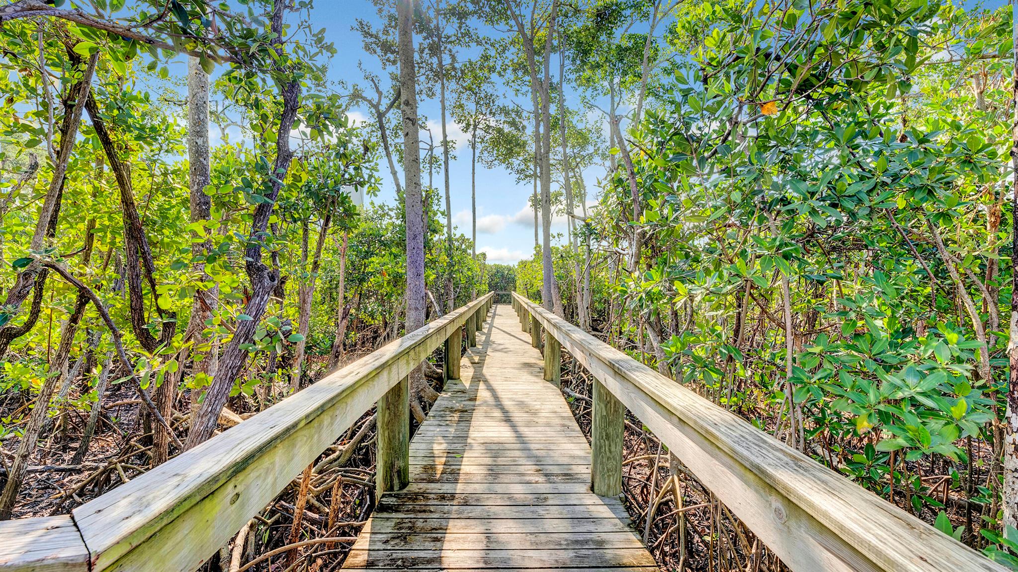 3200 S Ocean Boulevard 501