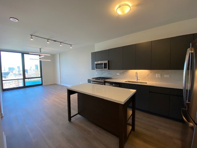 740 N Aberdeen Street Unit: PH-1114