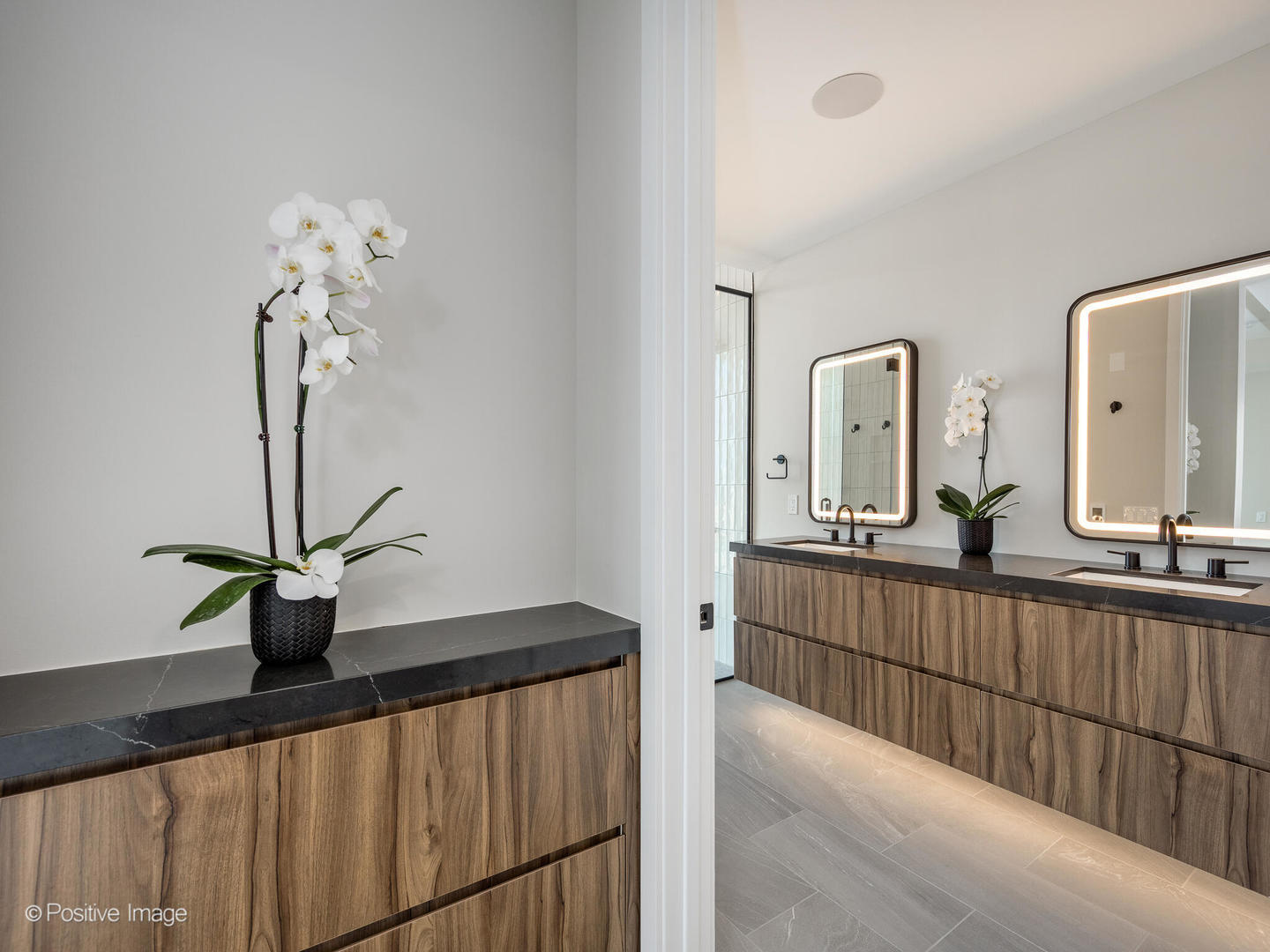 1114 W Carroll Avenue Unit: PH-3202