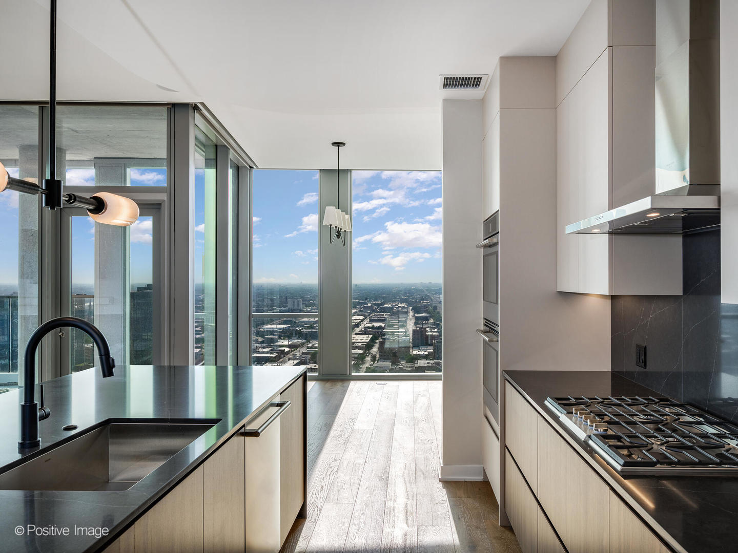 1114 W Carroll Avenue Unit: PH-3204