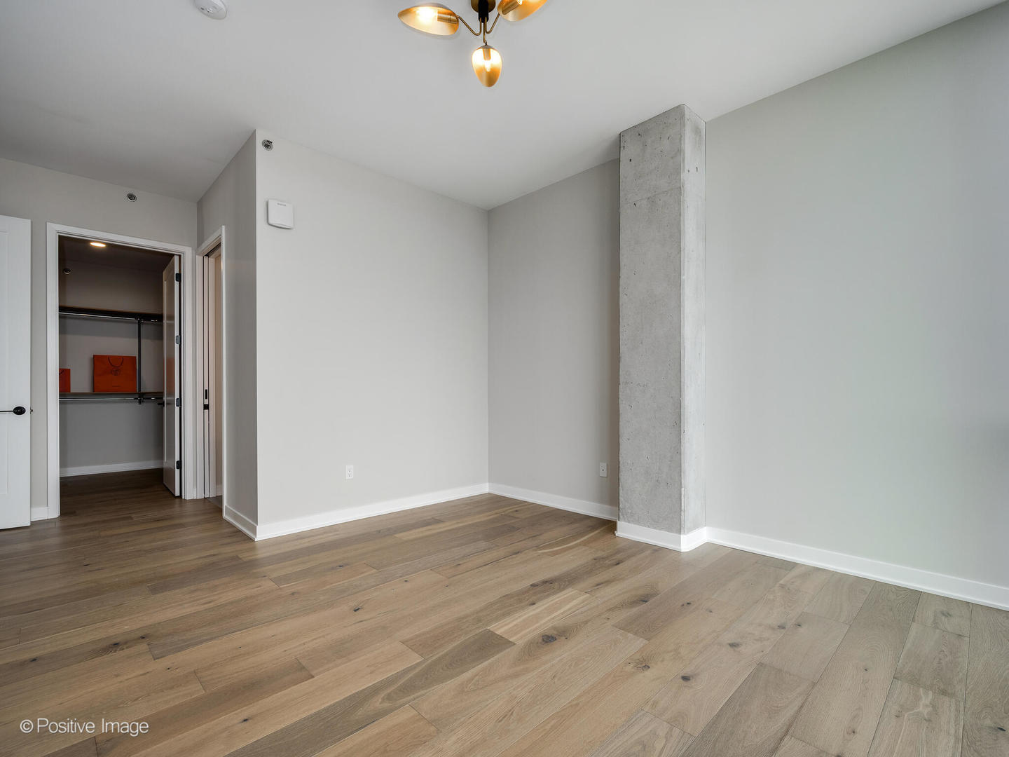 1114 W Carroll Avenue Unit: PH-3204