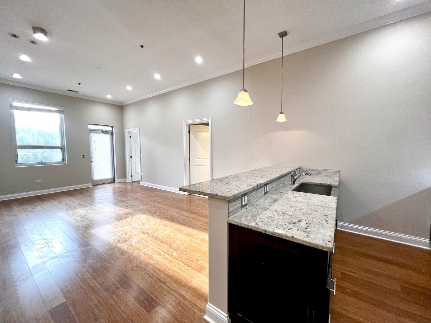 1002 W Van Buren Street Unit: 102