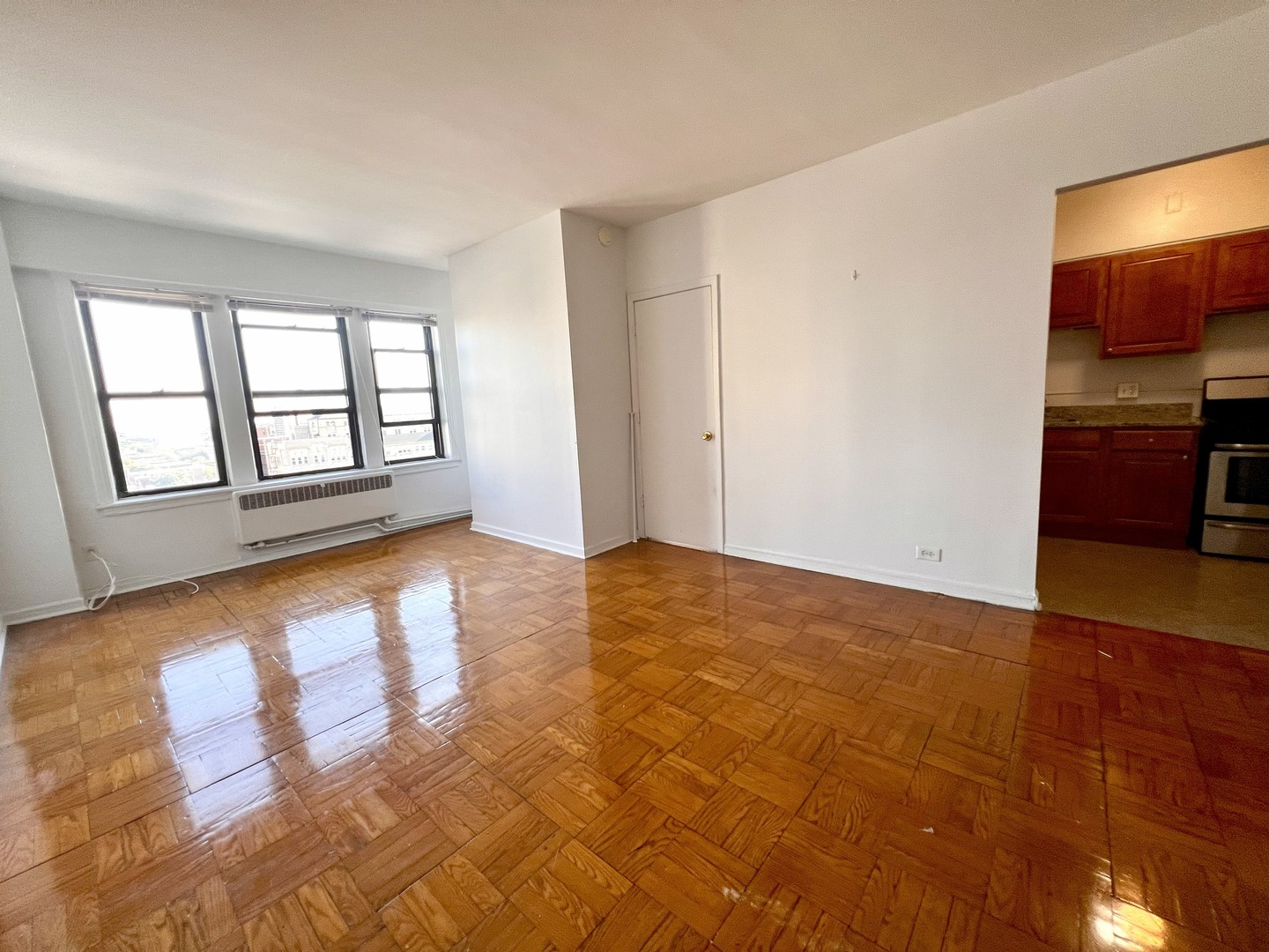 6230 N Kenmore Avenue Unit: 1604