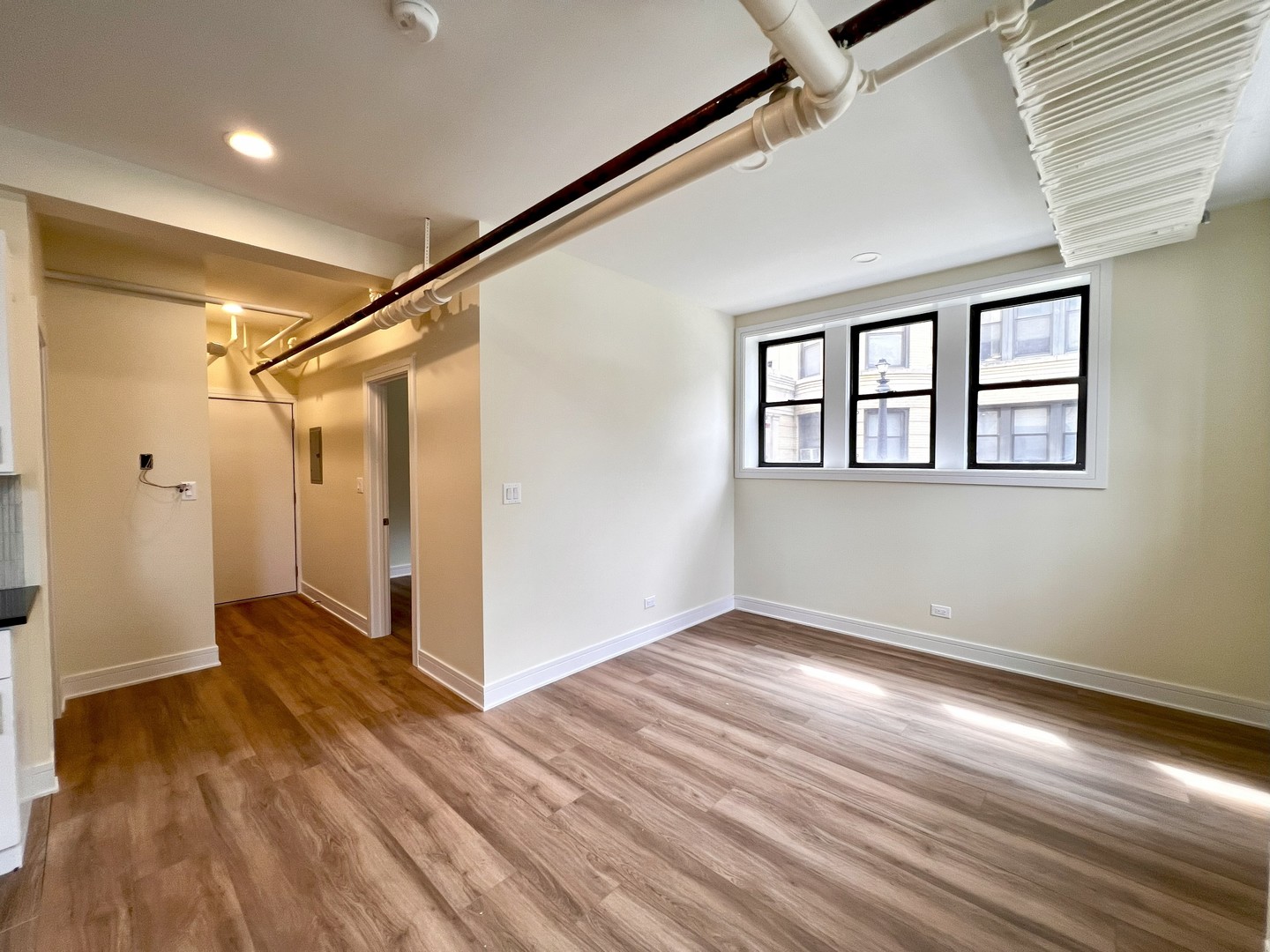 3927 N Pine Grove Avenue Unit: BW