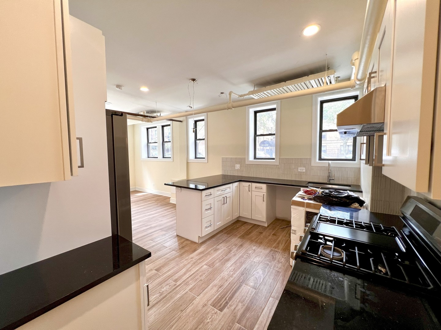 3927 N Pine Grove Avenue Unit: BW