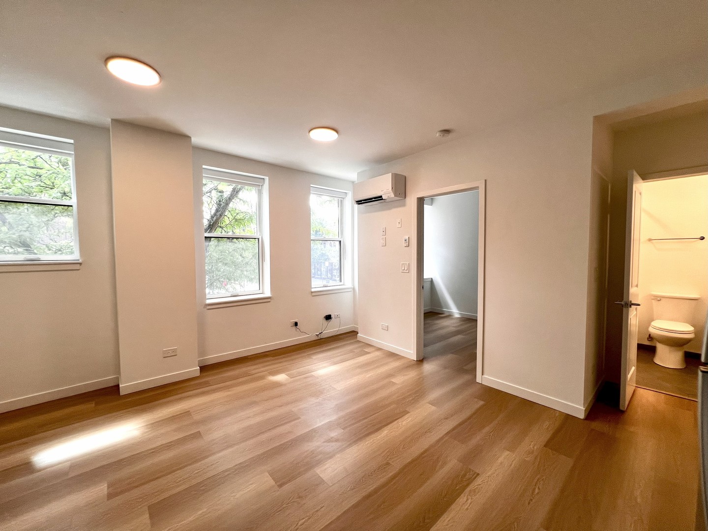 1650 W Roscoe Street Unit: 203
