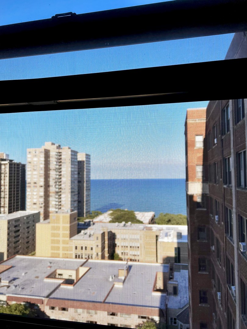 6230 N Kenmore Avenue Unit: 1607