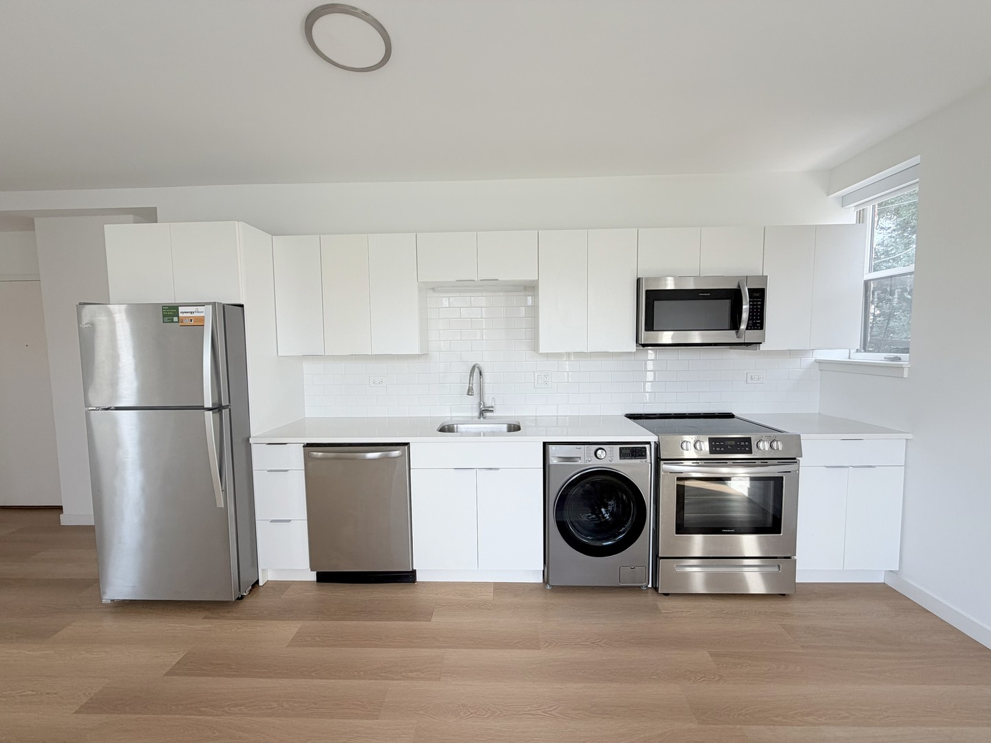 1650 W Roscoe Street Unit: 309