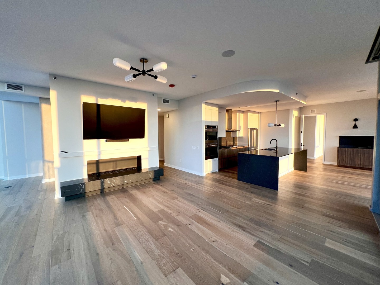 1114 W Carroll Avenue Unit: PH-3201