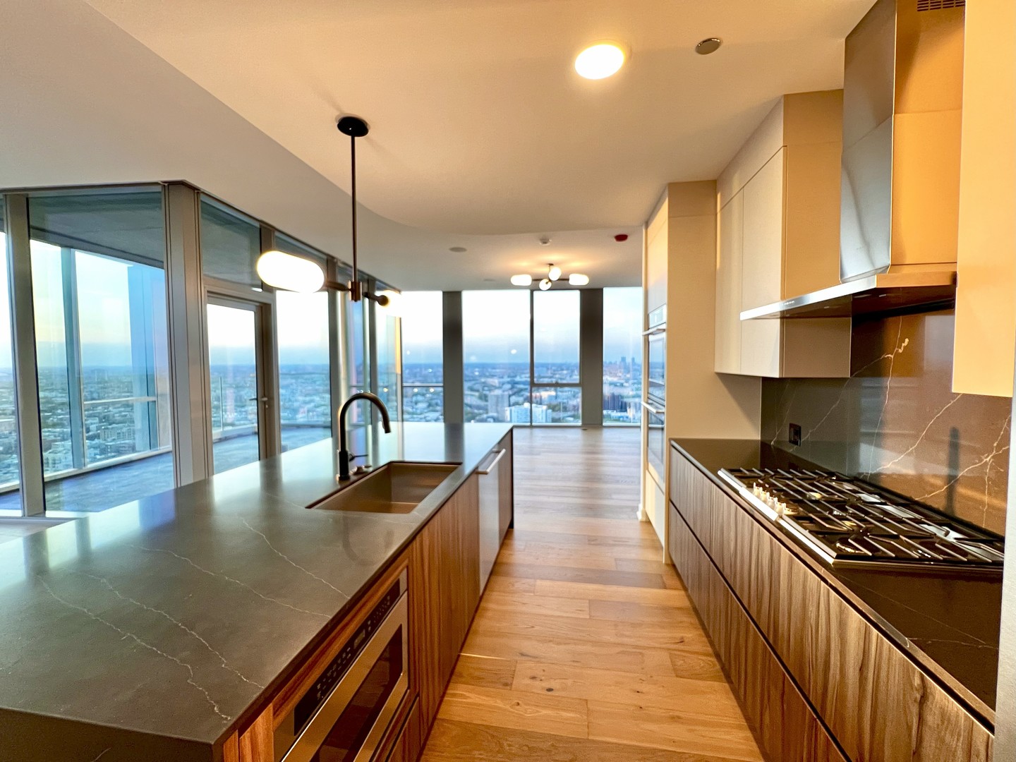 1114 W Carroll Avenue Unit: PH-3201