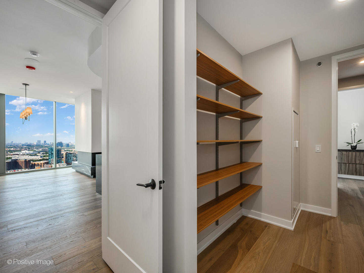 1114 W Carroll Avenue Unit: PH-3202