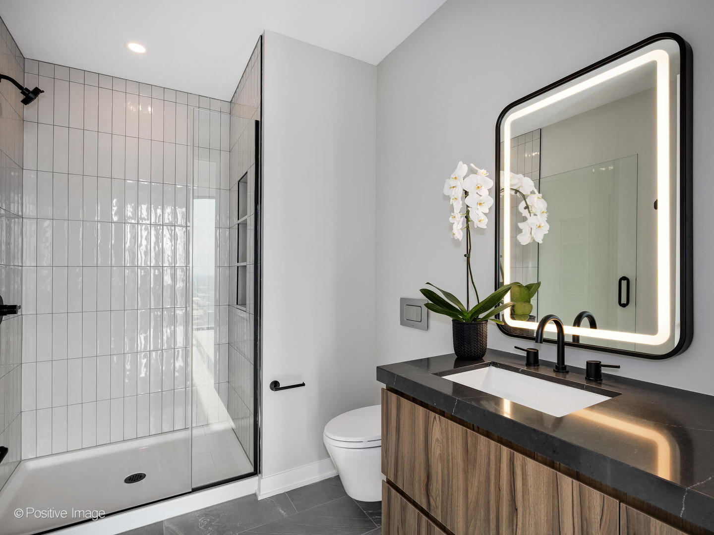 1114 W Carroll Avenue Unit: PH-3204