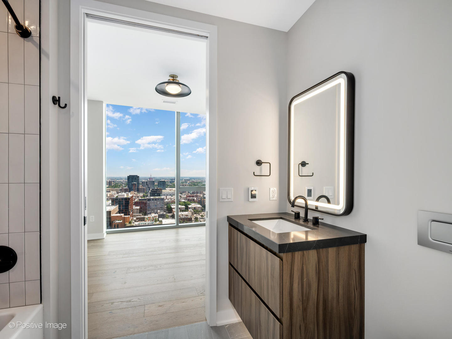 1114 W Carroll Avenue Unit: PH-3204