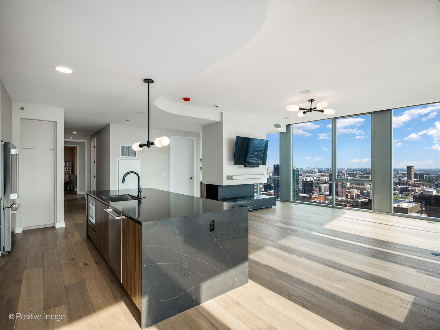 1114 W Carroll Avenue Unit: PH-3204